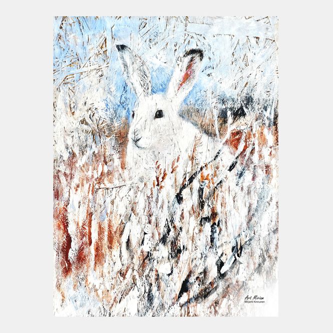 Huvudbild Poster Skogshare 30x40 cm