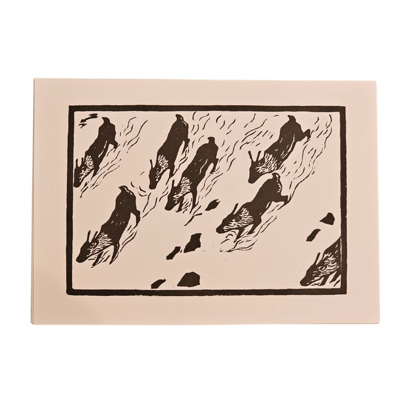 Chiermagok John Savio Postkort 