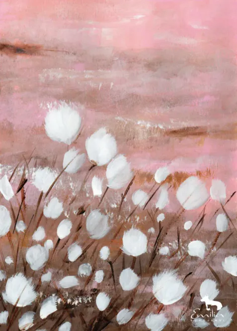 Huvudbild Poster Bomullstussar 30x40 cm